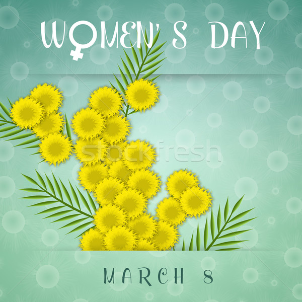 mimosas for  Women's Day Stock photo © sognolucido