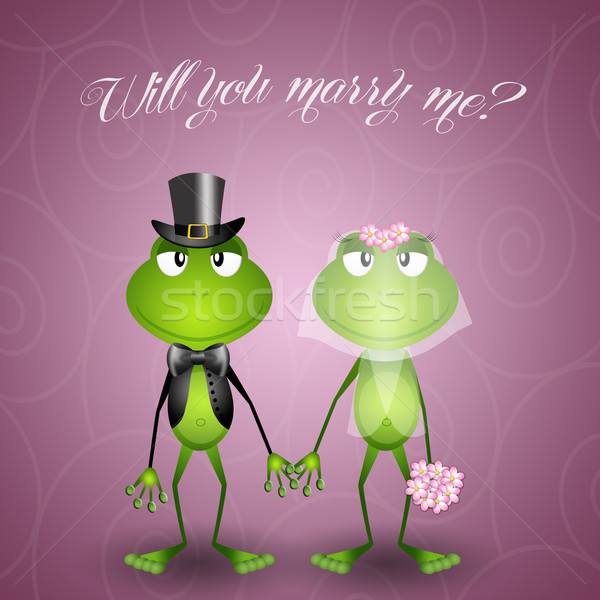 Sapo ilustração casamento amor casal casado Foto stock © sognolucido