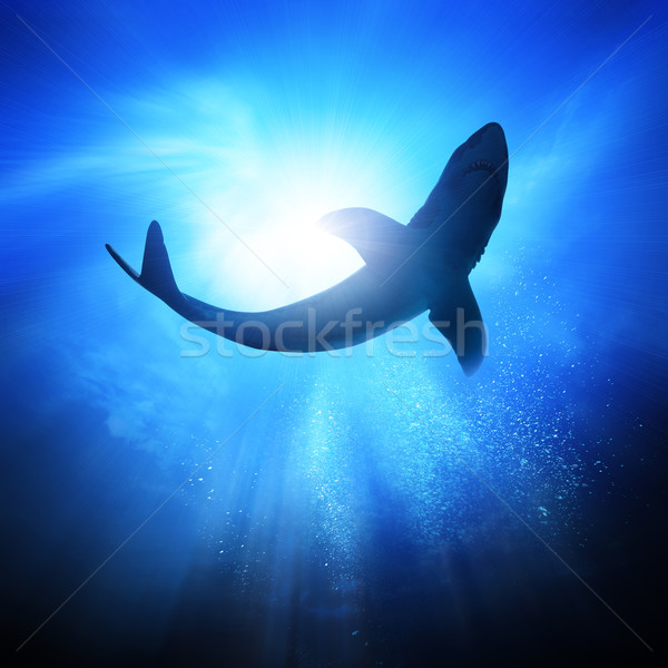 Golven diep oceaan haai zon Stockfoto © solarseven
