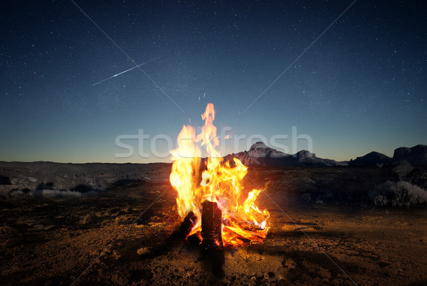 Nyári tábor tűz alkonyat felfedez vadon nyár Stock fotó © solarseven