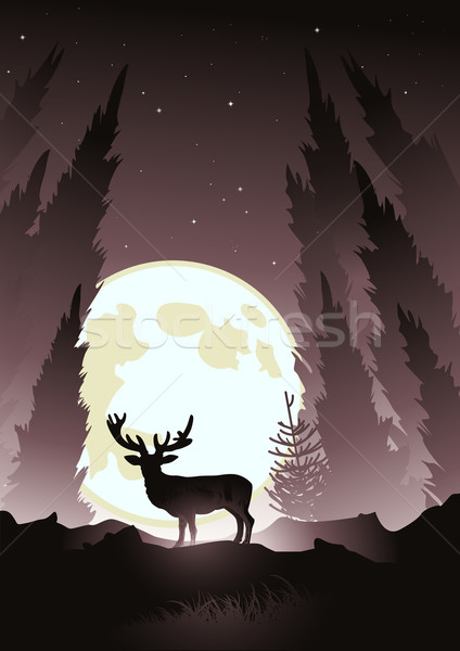 月光 冬天 月亮 明星 夜 側影 商業照片 © solarseven