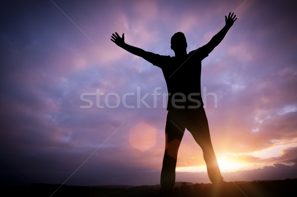 Abrir sonhos homem em pé brasão conjunto Foto stock © solarseven