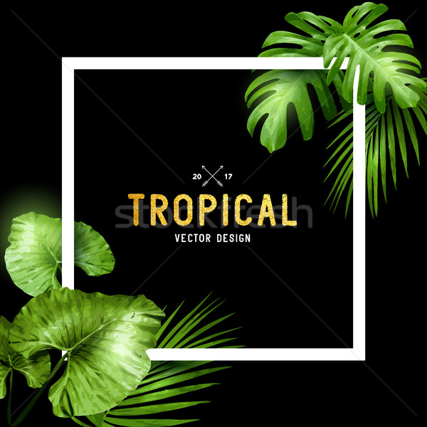 Exotique tropicales été cadre feuilles de palmier fleurs [[stock_photo]] © solarseven