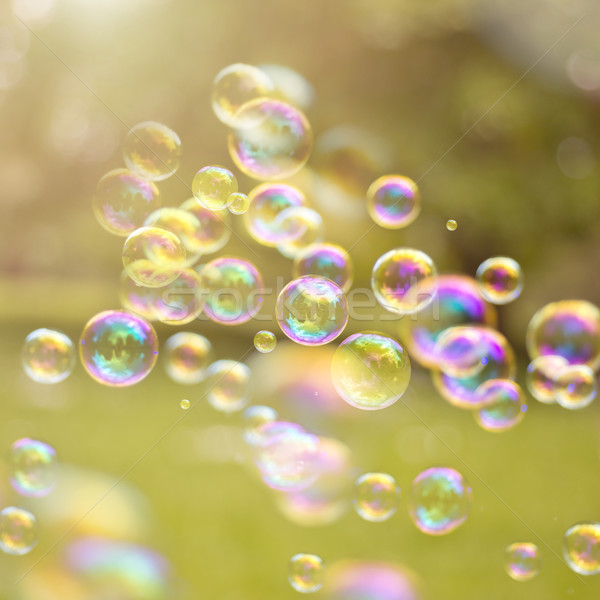 Summer Bubbles Stock photo © solarseven