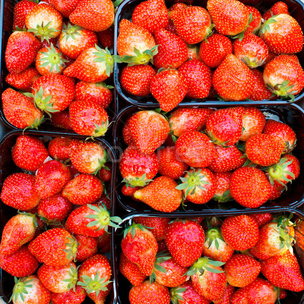 Freshly Picked Strawberries Stock photo © solarseven