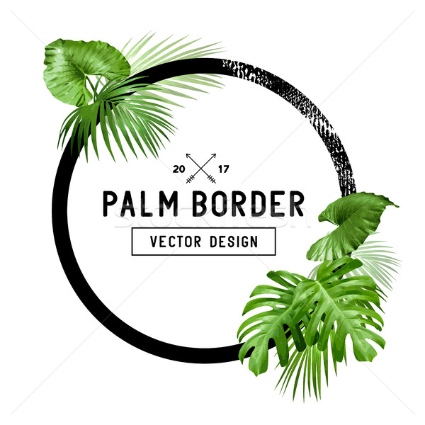 Tropical Palm Leaf Border Design Stock photo © solarseven