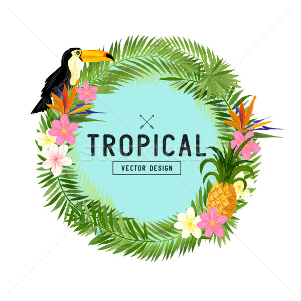 Tropical Wreath Vector Stock photo © solarseven