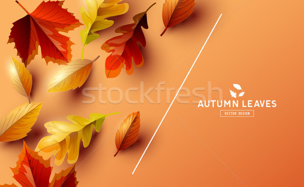 Vector Background With Autumn Falling Leaves Stock photo © solarseven
