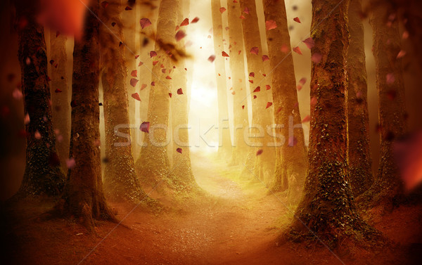 Pathway Through An Autumn Forest Stock photo © solarseven