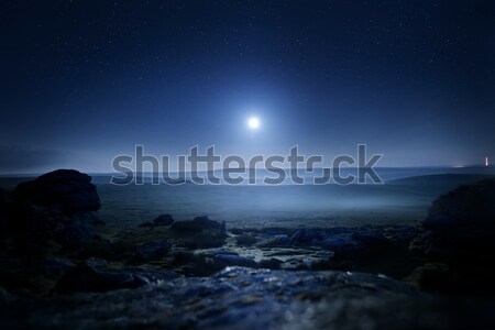Moonlight Landscape Stock photo © solarseven