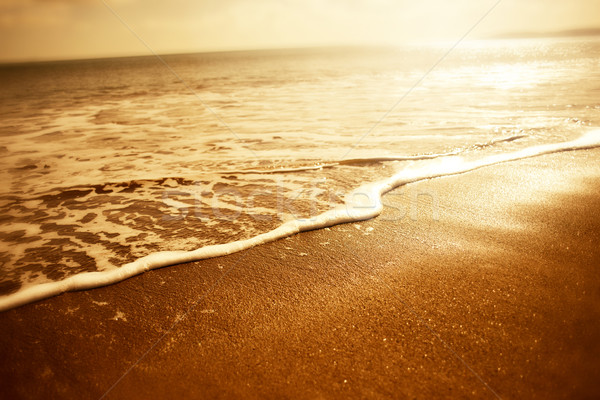 Gouden zee schuim zonsondergang achtergrond Stockfoto © solarseven