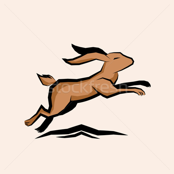 Jumping Hare Vector Stock photo © solarseven