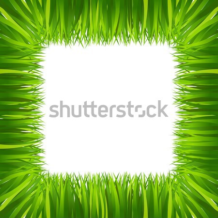 border frame green grass isolated on white Stock photo © sonia_ai