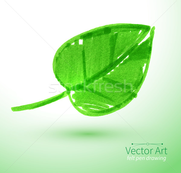 зеленый лист пер лист лет цвета свежие Сток-фото © Sonya_illustrations