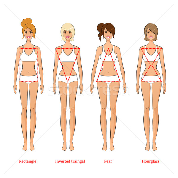 Stock photo: Female body types. 