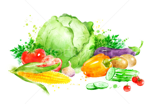 靜物 蔬菜 手工繪製 水彩畫 插圖 藝術 商業照片 © Sonya_illustrations