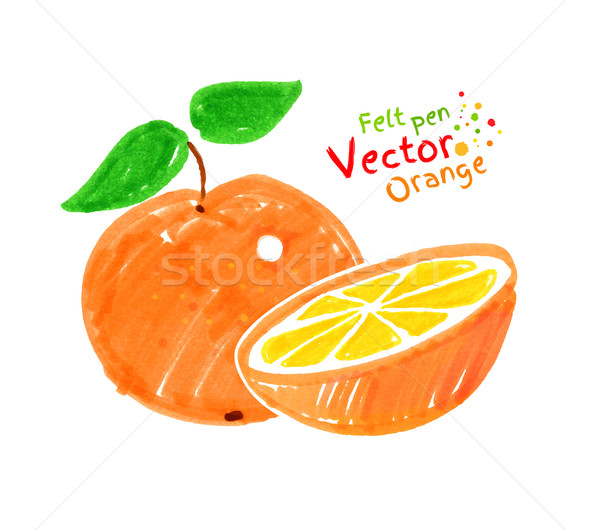 Foto stock: Fruto · de · laranja · vetor · caneta · criança · desenho · fundo