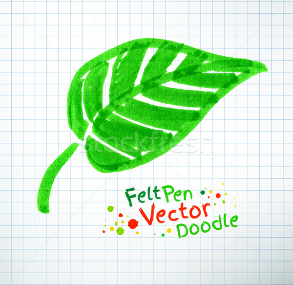 Vector illustration of leaf. Stock photo © Sonya_illustrations