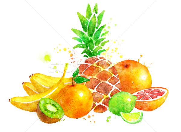 Still life fruits dessinés à la main couleur pour aquarelle illustration alimentaire Photo stock © Sonya_illustrations