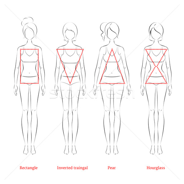 Stock photo: Female body types. 