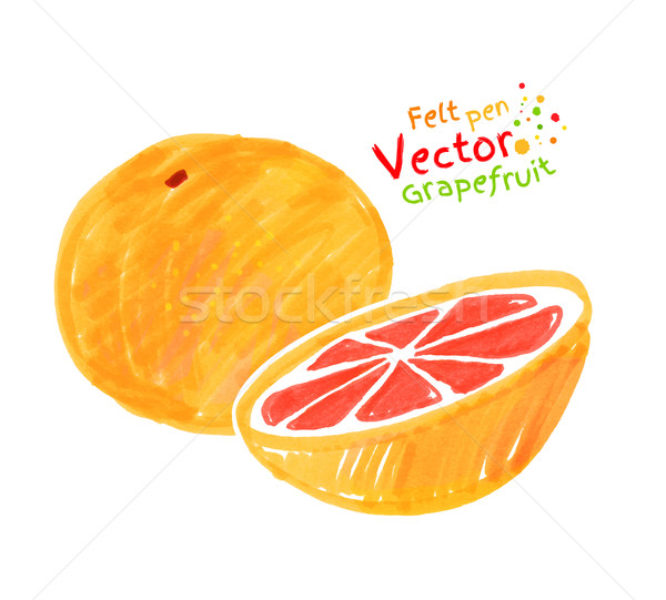 ребенка рисунок грейпфрут вектора пер текстуры Сток-фото © Sonya_illustrations