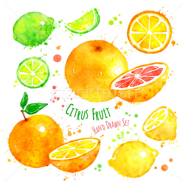 Citrus fruit. Stock photo © Sonya_illustrations