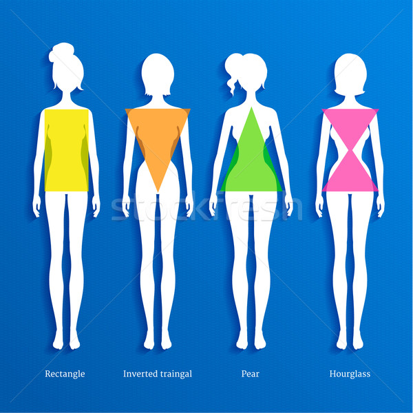 Stock photo: Female body types.