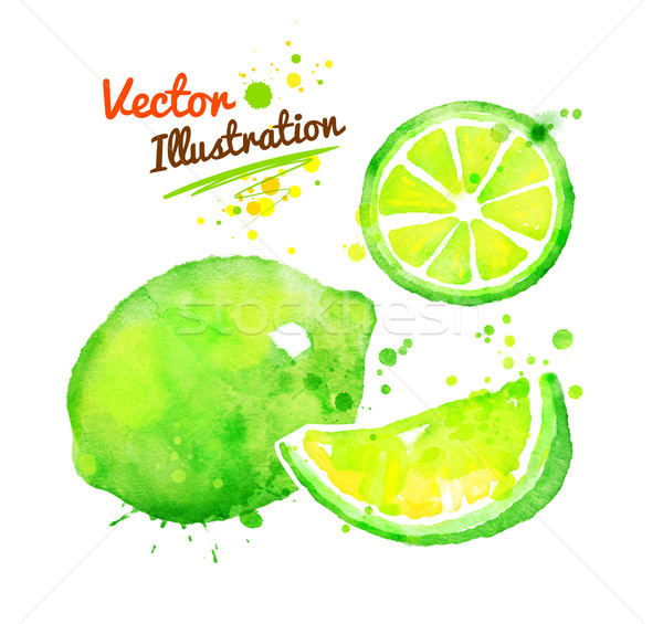 Watercolor lime. Stock photo © Sonya_illustrations