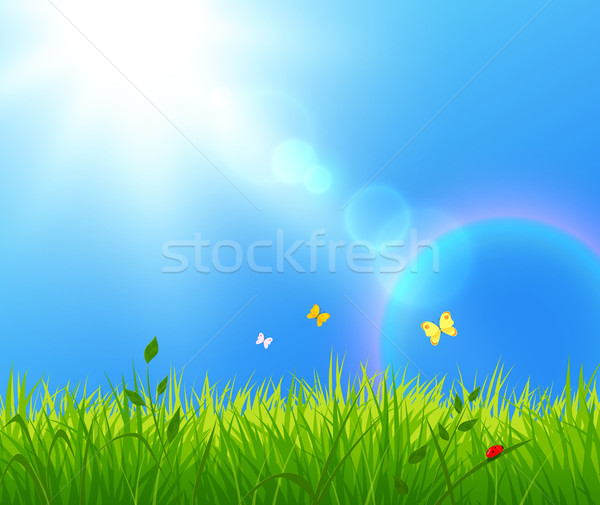 Lata krajobraz światło słoneczne niebo streszczenie charakter Zdjęcia stock © Sonya_illustrations