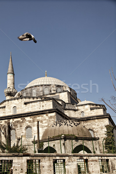 Meczet obraz nowego istanbul Turcja budynku Zdjęcia stock © sophie_mcaulay