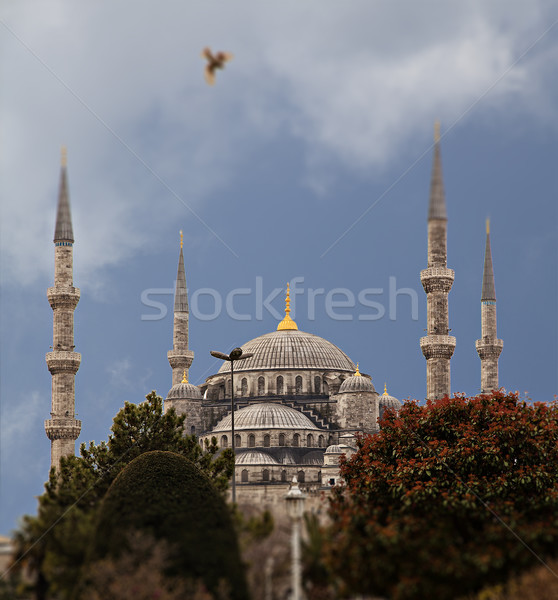 Blauw moskee turks stad Stockfoto © sophie_mcaulay