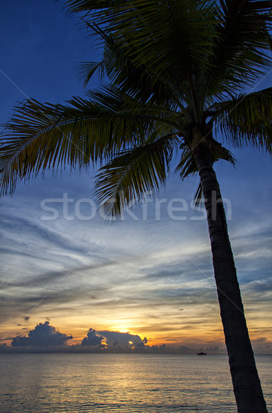 Tailandia imagen puesta de sol amanecer Asia sol Foto stock © sophie_mcaulay