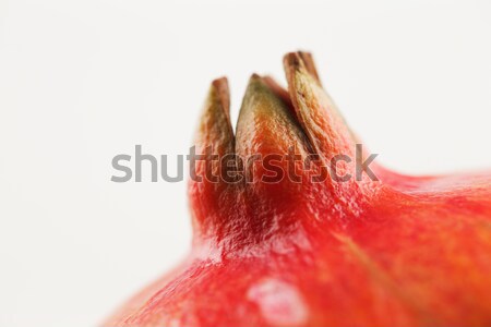 Pomegranate is a fruit associated with most of the middle East Stock photo © SophieJames