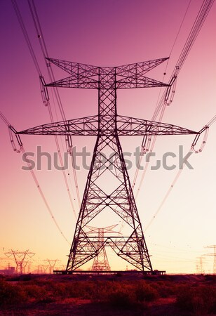 Pylons and cables look like an installation of art Stock photo © SophieJames