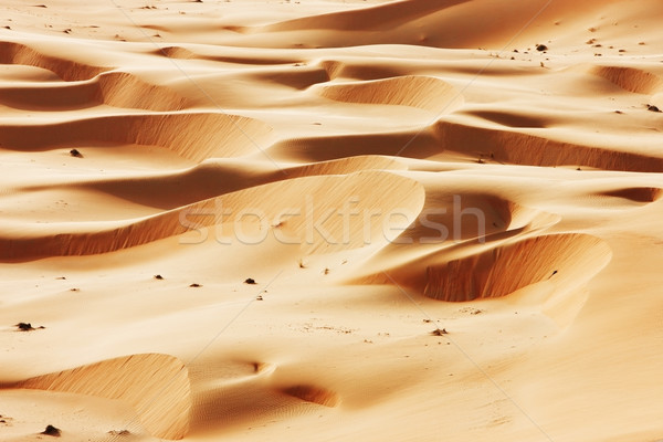 Rolling sand dunes of the Arabian desert Stock photo © SophieJames