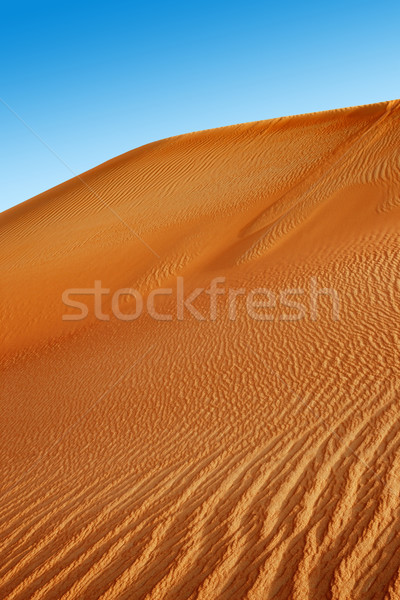 Rolling sand dunes of the Arabian desert Stock photo © SophieJames