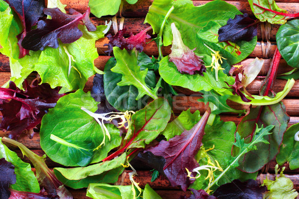 Organic Spring Mix Lettuce Stock photo © soupstock