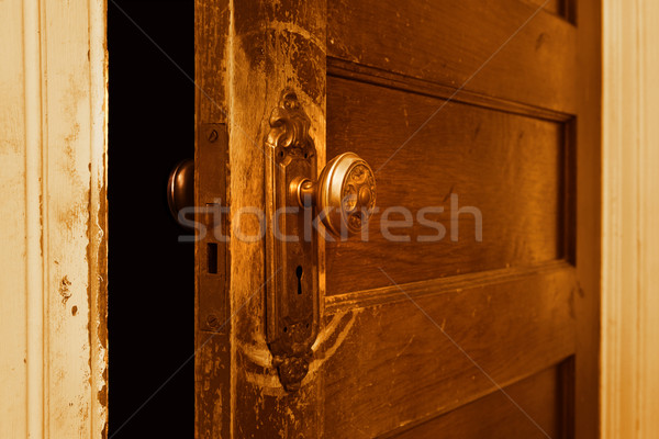 Vintage door knob Stock photo © soupstock