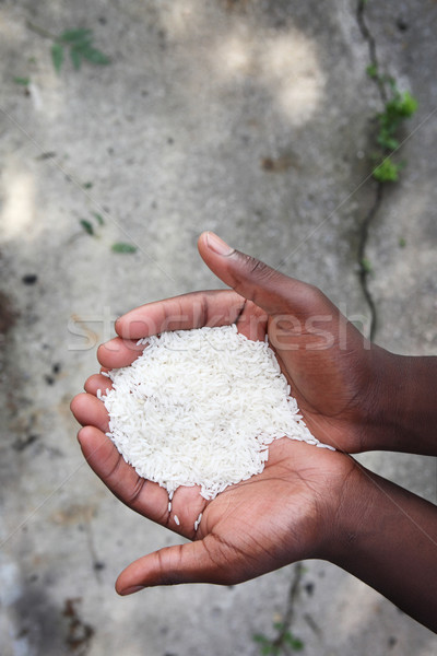 Sobrevivência mão arroz concreto mãos mundo Foto stock © soupstock