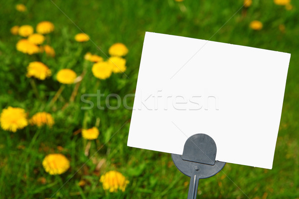 Blank Pesticide Lawn sign Stock photo © soupstock