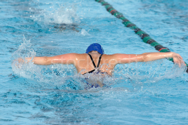 Butterfly Stroke Stock photo © soupstock