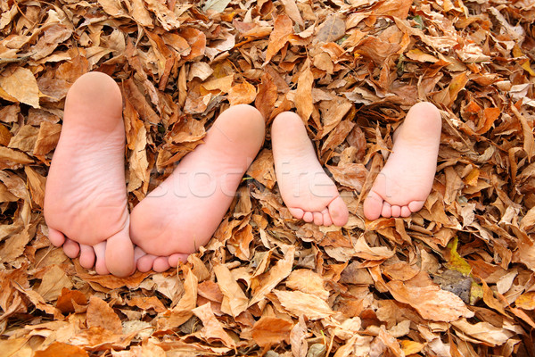 Kinderen begraven vallen bladeren twee jonge Stockfoto © soupstock