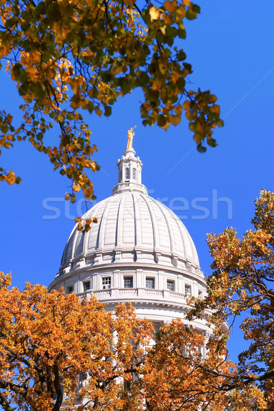Kopuła Wisconsin widoku patrząc spadek drzew Zdjęcia stock © soupstock