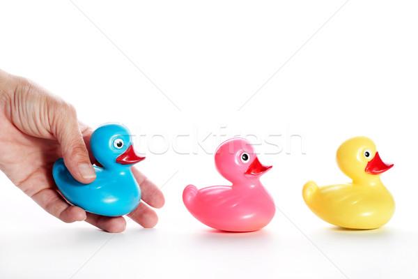 Ducks in a Row (concept to put everything in order/ to complete  Stock photo © soupstock