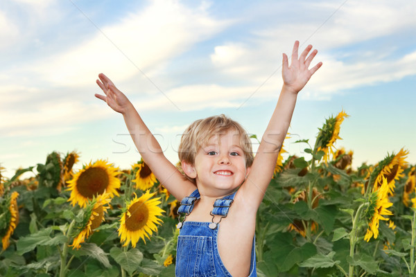 Campo girasoli mani felice farm Foto d'archivio © soupstock