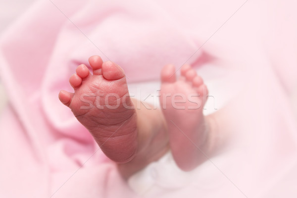 Newborn baby feet Stock photo © soupstock