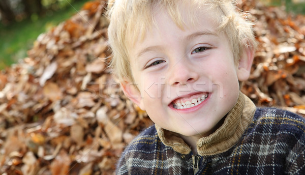 Sorridere ragazzo foglie sorrisi Foto d'archivio © soupstock