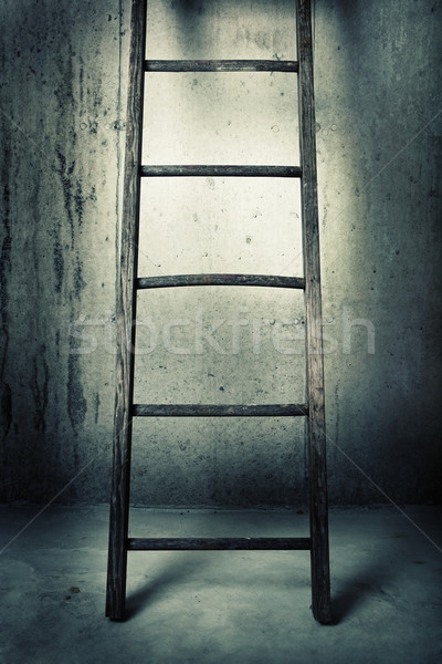 Old wooden ladder on a cement wall Stock photo © soupstock