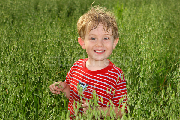 A boy standing in a field of Oats Stock photo © soupstock