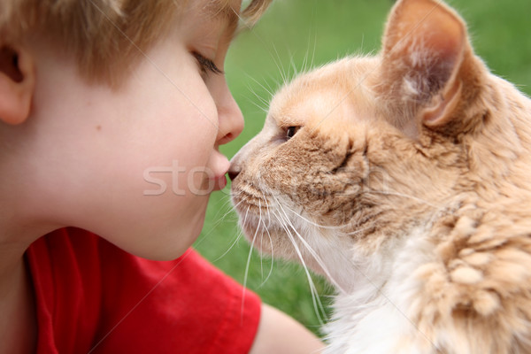 Mano amore bacio ragazzo Foto d'archivio © soupstock